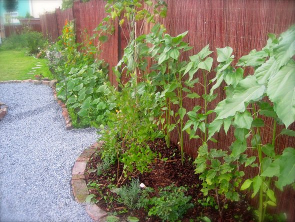 Garten 'Garten/ Terrasse'