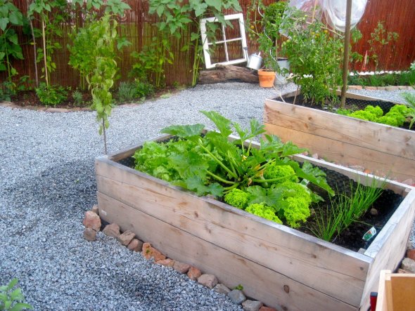 Garten 'Garten/ Terrasse'