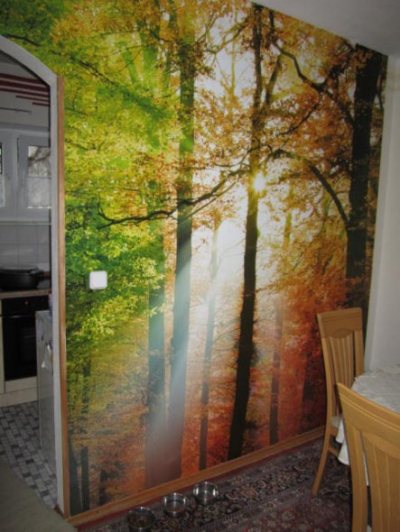 Inzwischen habe ich eine Wand im Esszimmer mit  einer Fototapete gestaltet.