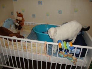 Kinderzimmer