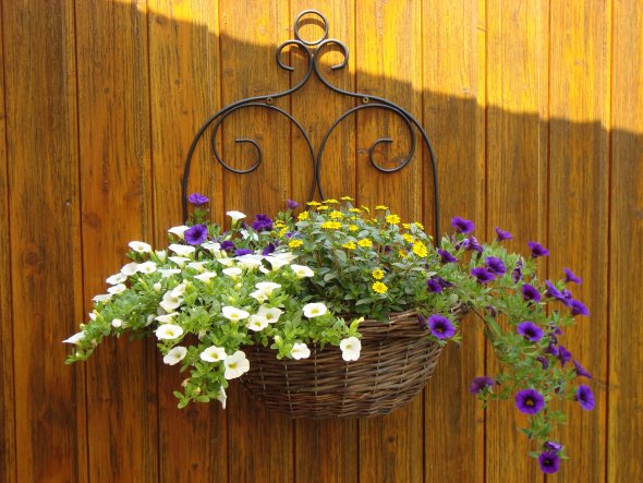 Terrasse / Balkon 'Terrasse'