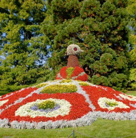 Pfau aus Blumen