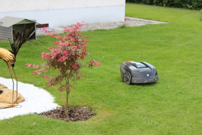 Garten 'Rasenmähroboter der Traum meines Freund'