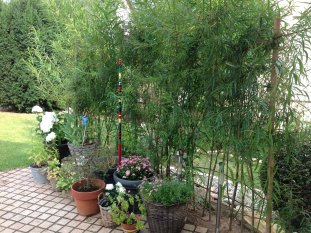alle Räume 'Garten'