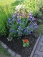 Garten 'Garten + Haus'