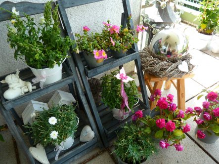 Terrasse / Balkon 'Balkon Juli 20141'