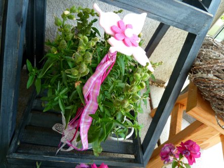 Terrasse / Balkon 'Balkon Juli 20141'