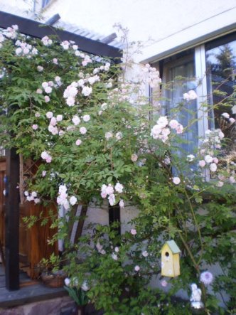 Terrasse / Balkon 'terasse und garten '