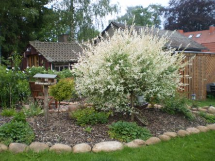 Terrasse / Balkon 'terasse und garten '