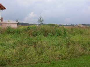 Hausfassade / Außenansichten 'Baustelle'