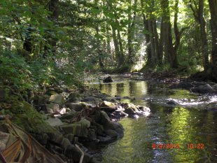 Naturliebhaber