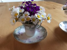 Zimmerschauerin Porzellinchen