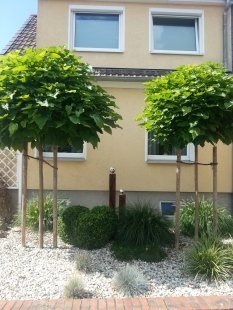 Hausfassade / Außenansichten 'Vorgarten/Garten'
