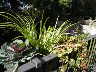 Terrasse / Balkon 'Unser Häusle- Erdgeschoß'