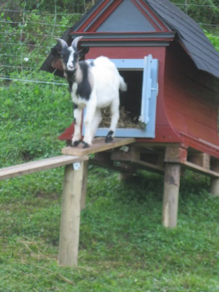 Garten 'Meine kleine Farm'