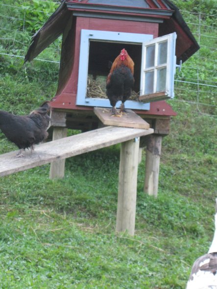 Garten 'Meine kleine Farm'