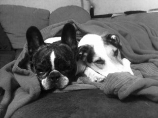 SweetFrenchy