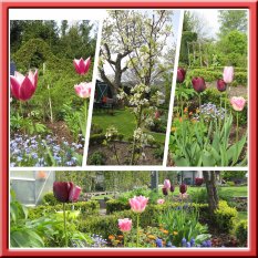 der Garten 