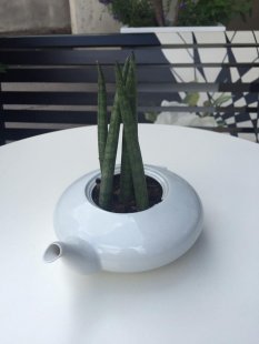 maggiedesign