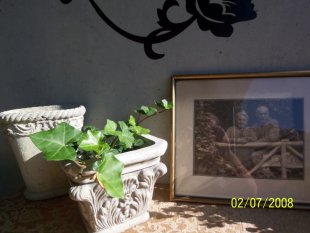 Terrasse / Balkon 'loggia'