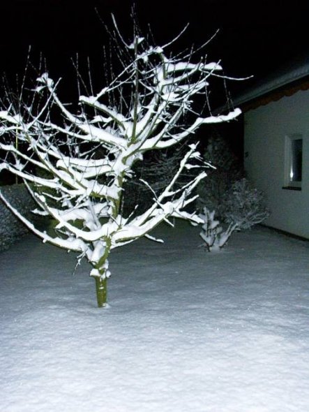 Da gab es noch schnee