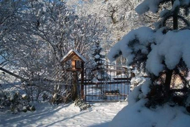 Garten 'Garten'