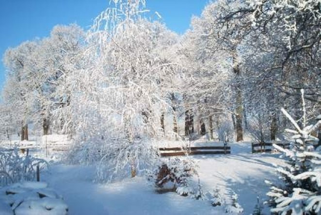 Garten 'Garten'