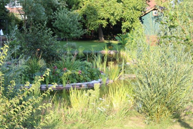 Garten 'Garten'