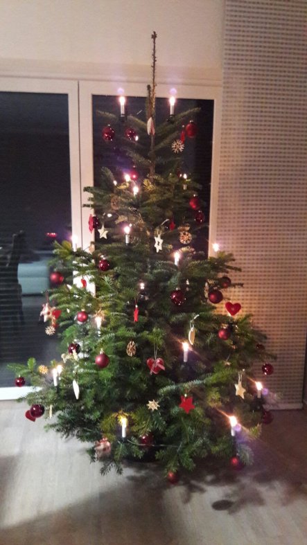 Weihnachtsdeko 'Weihnachten im Haus'