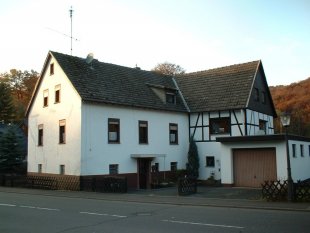 Hausfassade / Außenansichten 'Das Froschhaus'