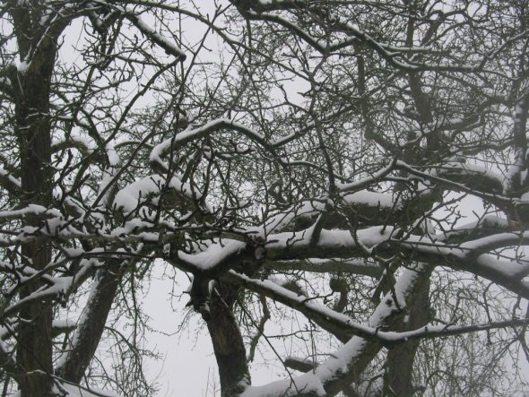 Hausfassade / Außenansichten 'unser zuhause im winter'