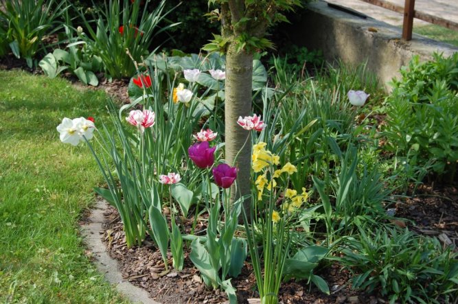 Garten 'Spielwiese'