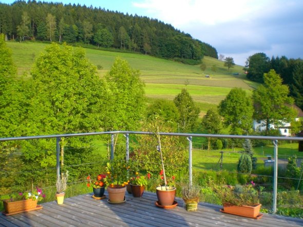 Terrasse / Balkon 'freiluft'