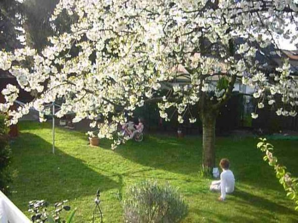 Garten 'Frühlingserwachen'