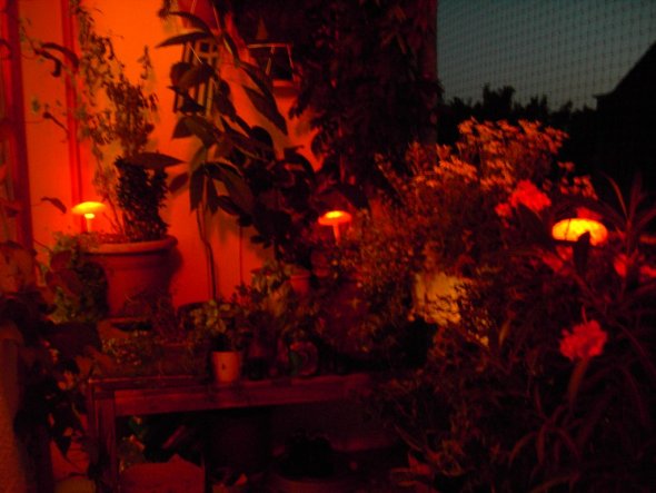 Terrasse / Balkon 'balkon'