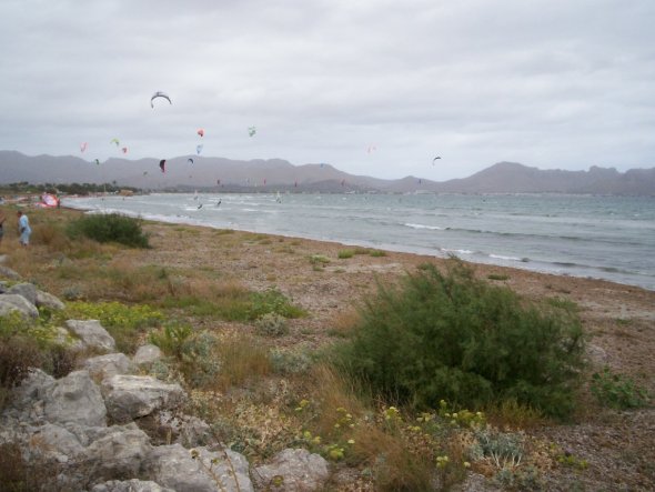 ..ideale Bedingungen für Windsurfer