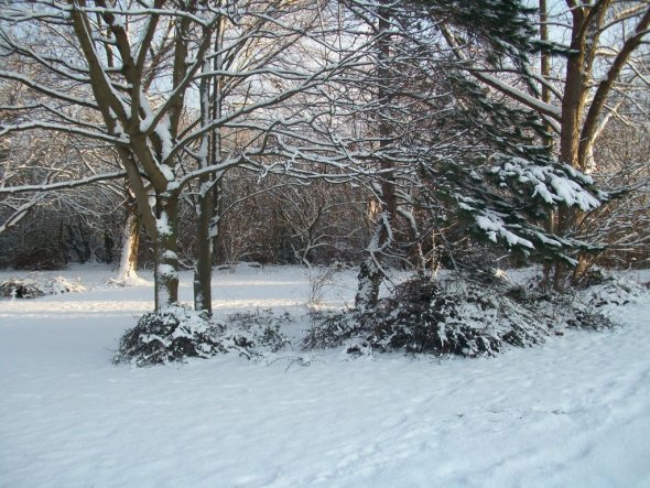 Hausfassade / Außenansichten 'Winter'