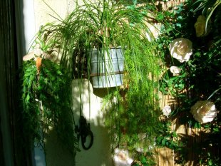 Chrissy's Balkon
