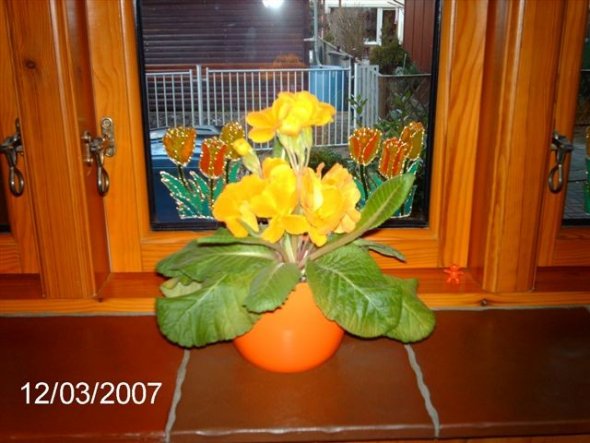 Habe ich mit Window-Color-Farben gemalt