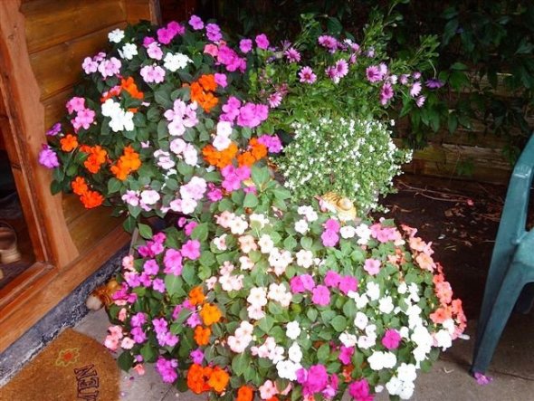 Terrasse / Balkon 'Gartenterrasse'