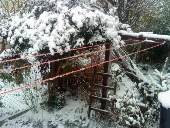 auch mein minigarten bricht heute, 02.02.10, fast unter der schneelast zusammen!