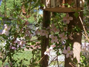 alle Räume 'Gartenoase'