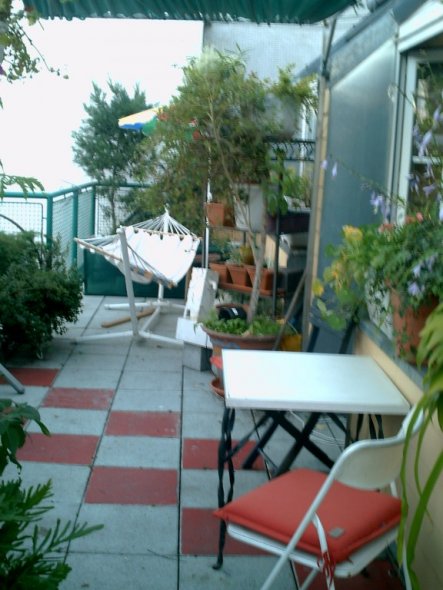 Terrasse / Balkon 'Terrasse Ost'