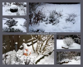 Weiße Winterpracht
