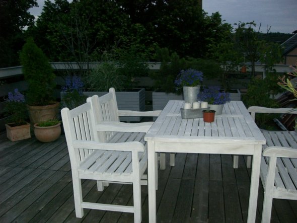 Wohnzimmer 'Dachterrasse Frühjahr 2009'