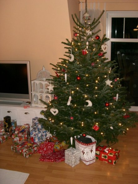 Weihnachtsdeko 'Weihnachten 2008'