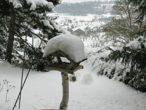 Terrasse / Balkon 'Terrasse'