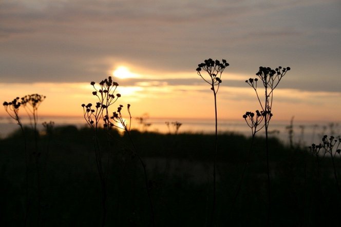 Garten 'Rund ums Haus'