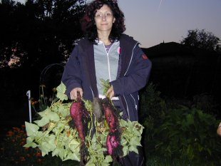 Mein Garten