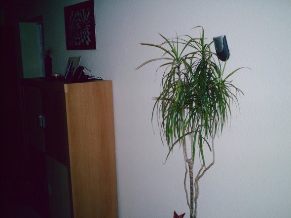 Flur/Diele 'Großer Flur'